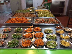 餐桌上的健康美学 我的健身与餐饮管理日常