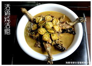深耕细作，领航餐饮新蓝海——江苏海豚湾餐饮管理的破局之道